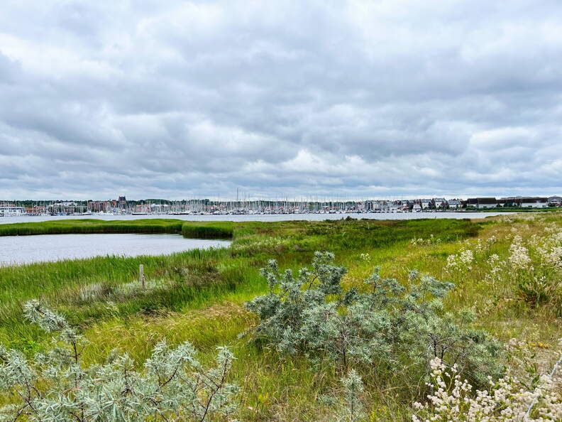 24-06-22 11-33-13 9767